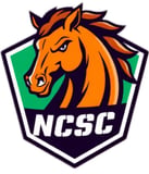 Ncsc